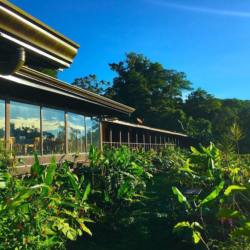 Hotel Arenal Vista Lodge El Castillo Екстер'єр фото